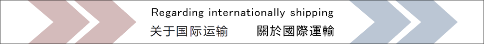 Regarding internationally shipping\